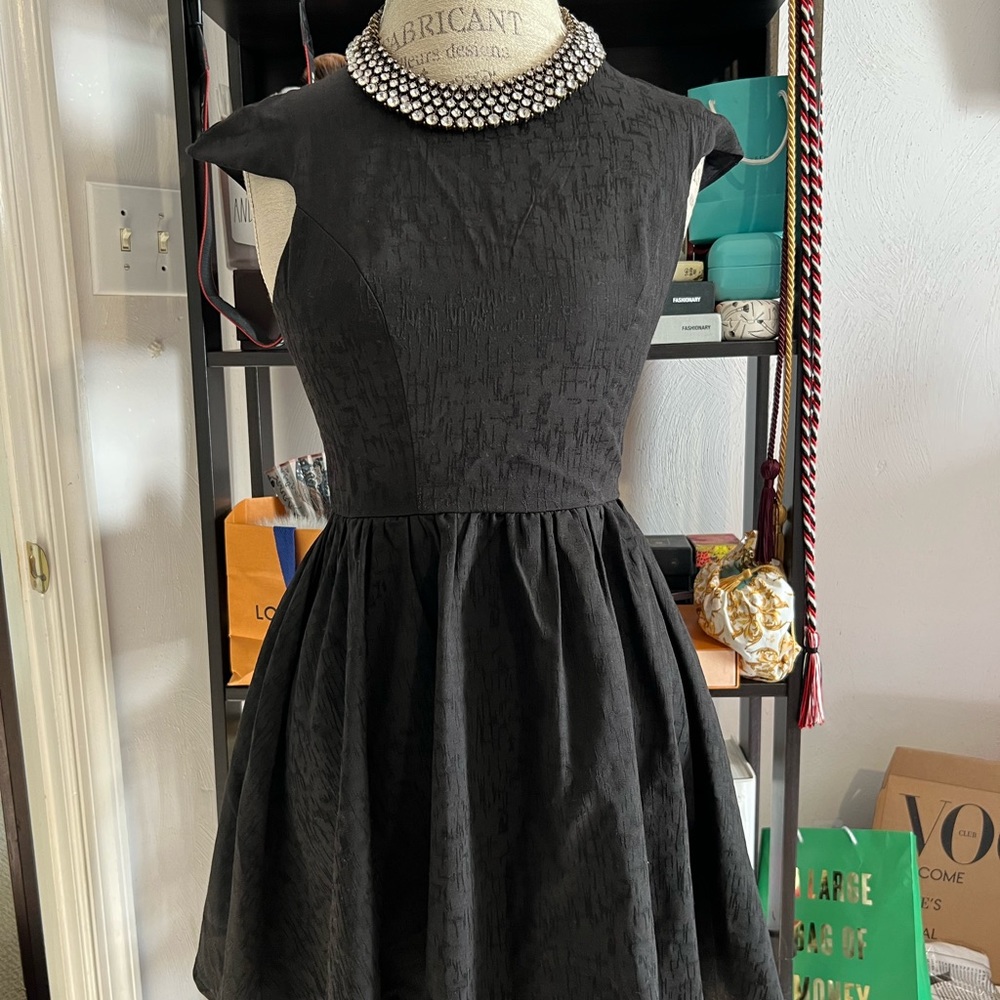 Fit and Flare Black Esther dress  🌟host pick🌟 - Picture 6 of 6